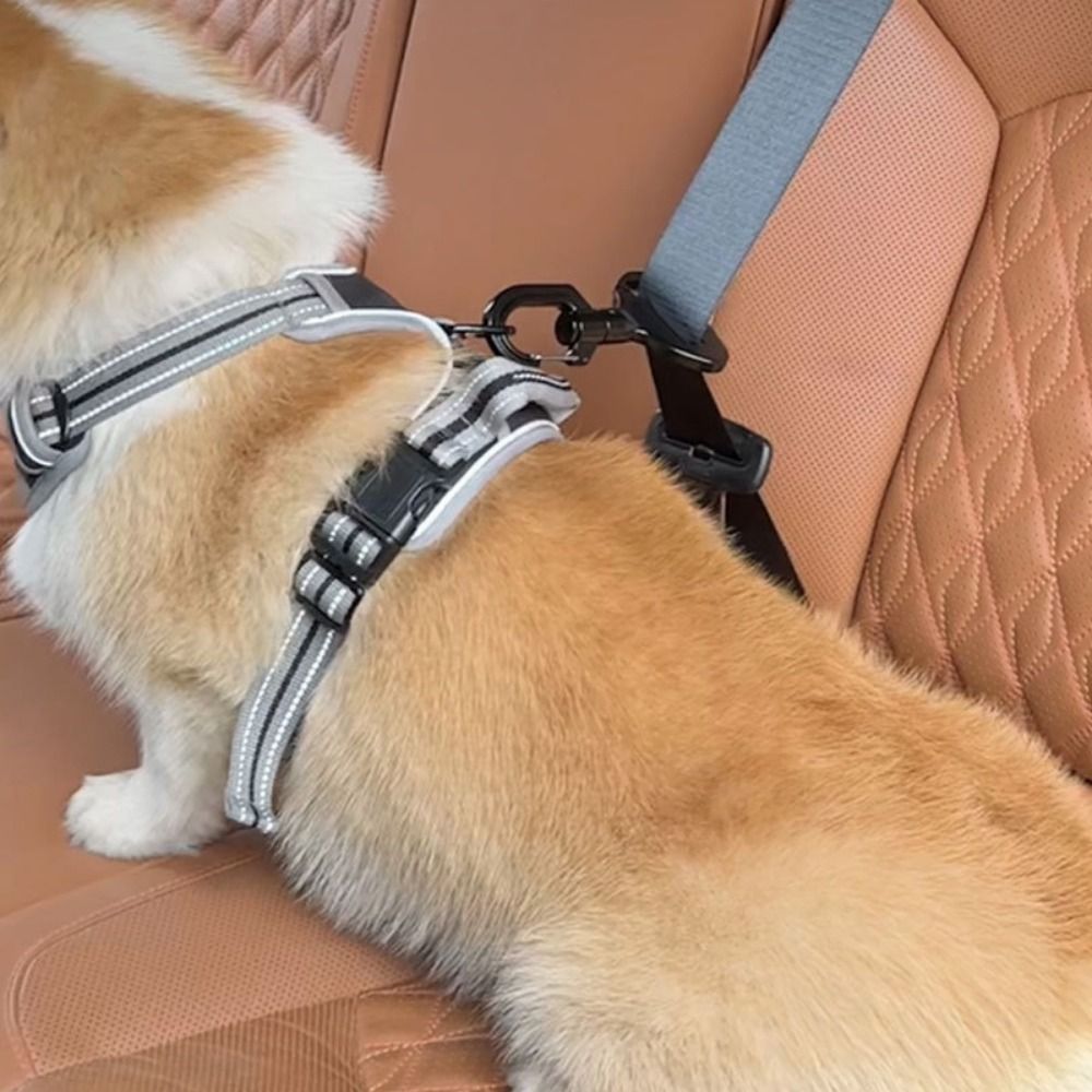 Anti-interference Pet Safety B - Swing Seat Belt review and price