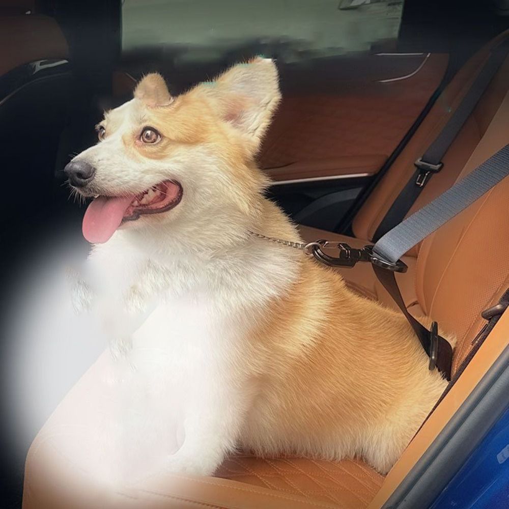 Anti-interference Pet Safety B - Swing Seat Belt review and price