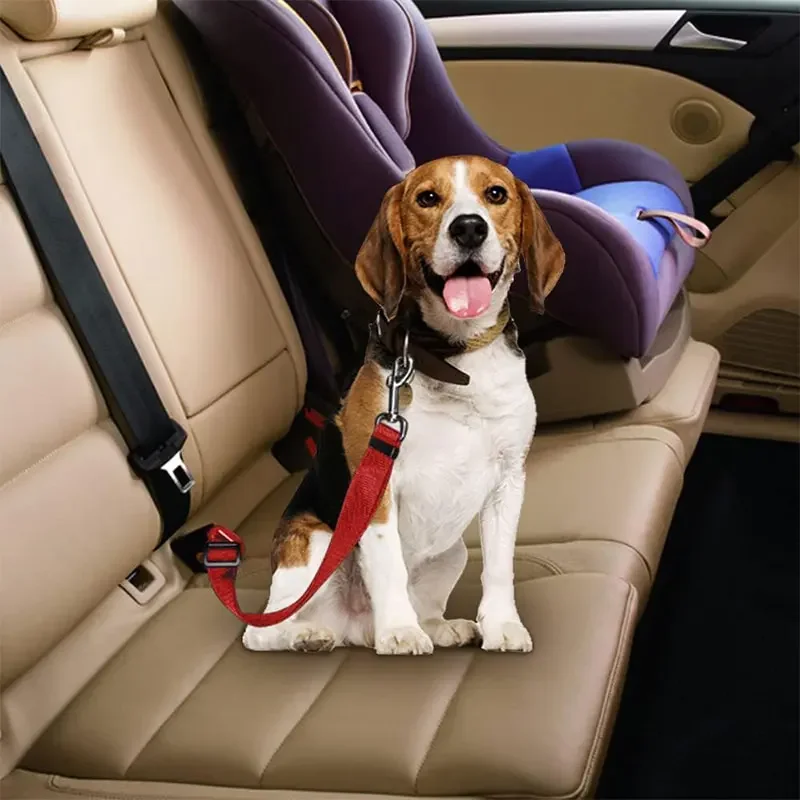 Pet Dog Car Seat Belt, Double- - Swing Seat Belt review and price