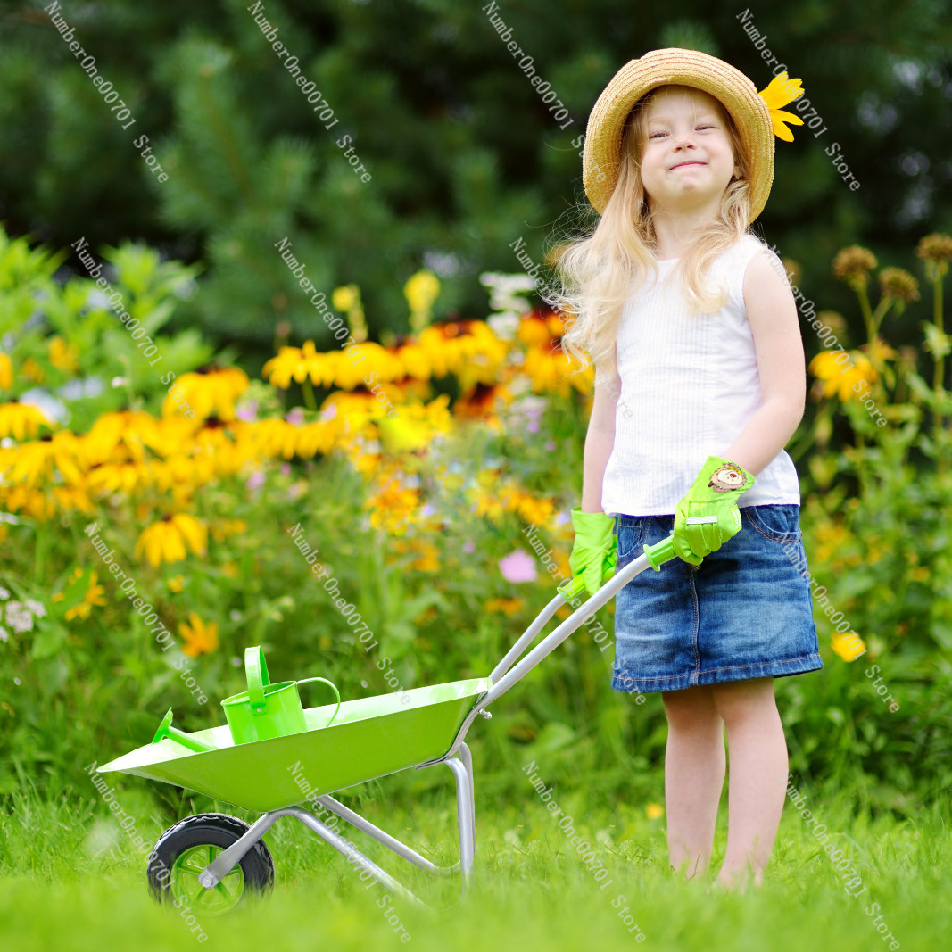 Kids Outdoor Wheelbarrow, Gree - Kids Outdoor Garden review and price