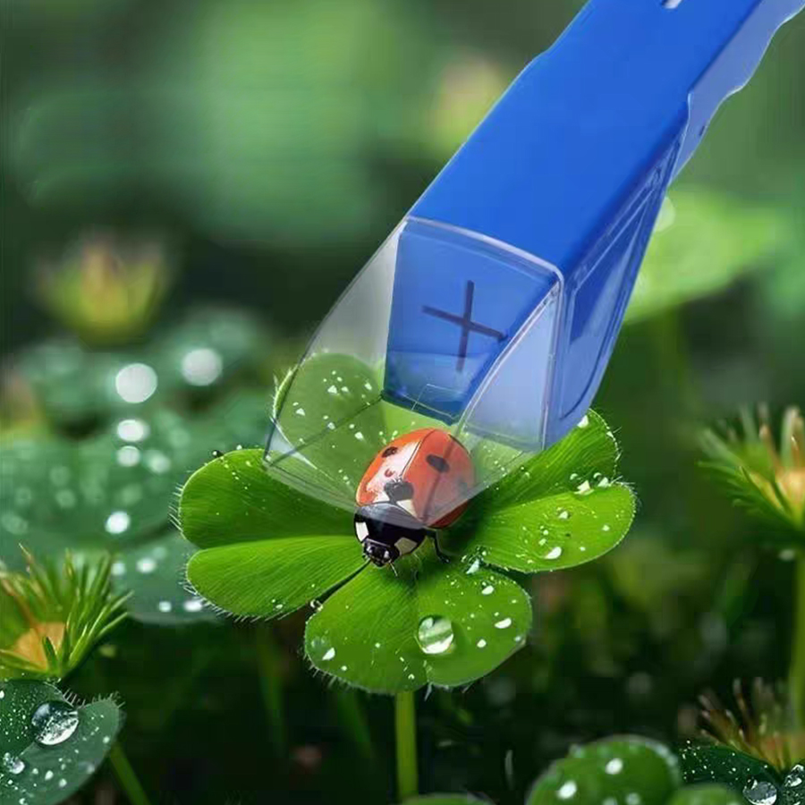 Kids Insect Catcher Box Magnif - Kids Outdoor Nature Toys review and price